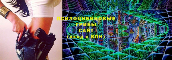 кокс Дмитриев