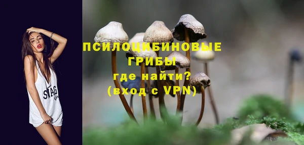 героин Ельня