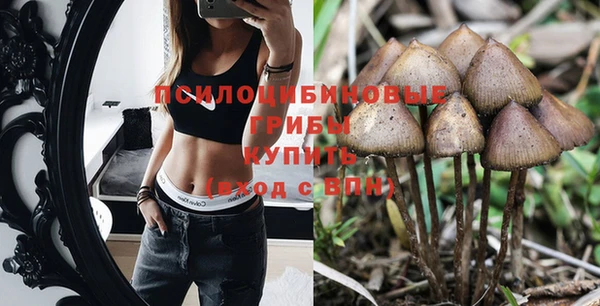 MESCALINE Елизово