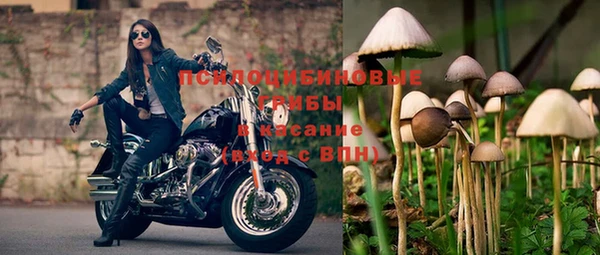кокс Дмитриев