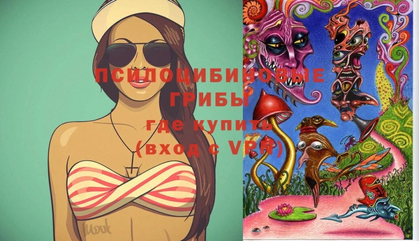 Альфа ПВП Елабуга